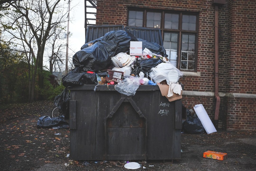 image-5 Photo dumpster