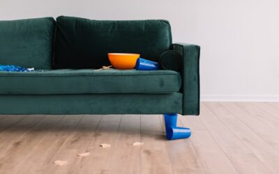 Do they remove furniture?