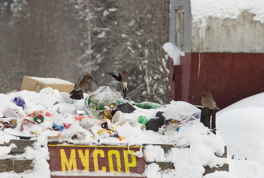 Photo haul away yard waste